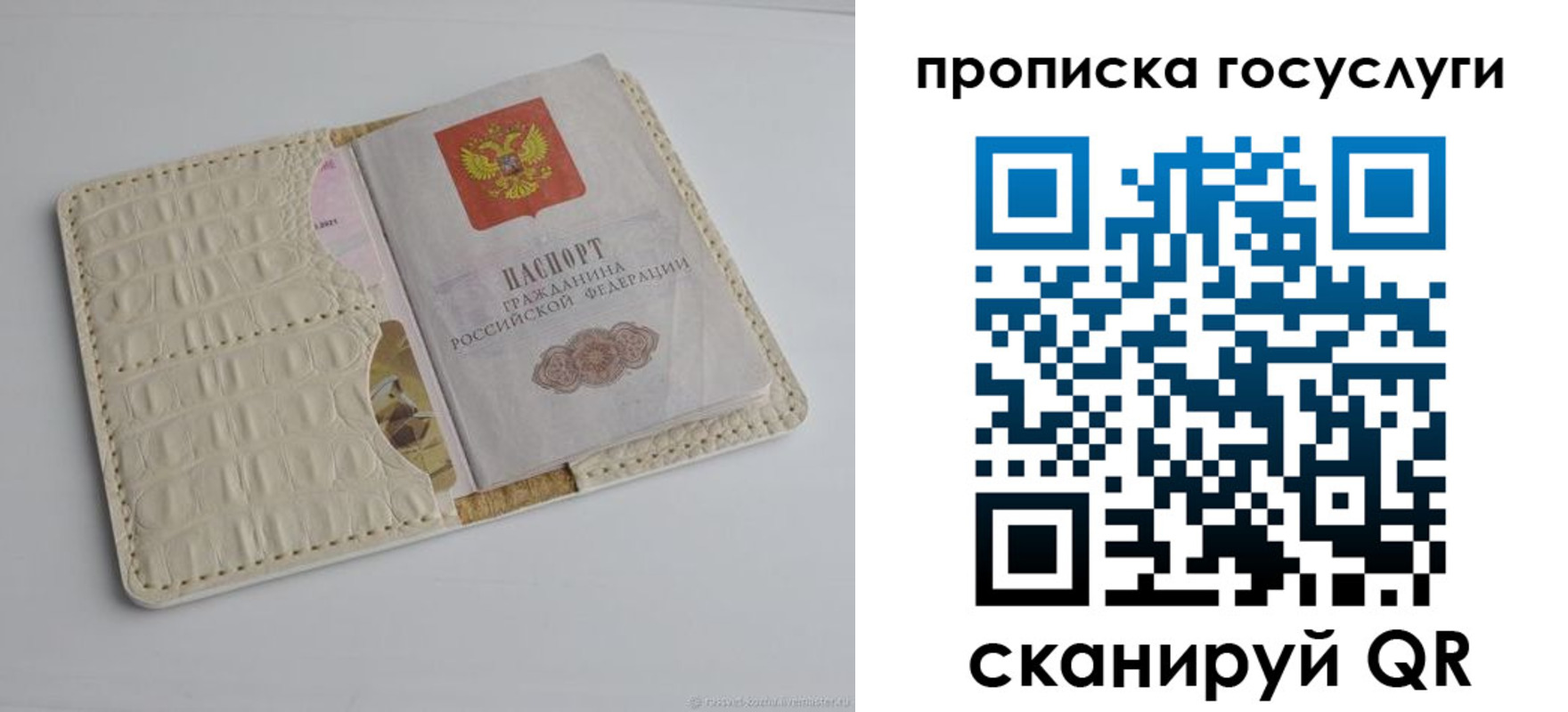 прописка в Тимашёвске